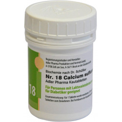 Schüssler Kautabletten Li18 Calcium sulfuratum D12