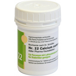 Schüssler Kautabletten Li22 Calcium carbonicum D12
